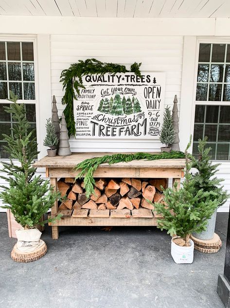 Patio Christmas Decorating Ideas, Farm Porch, Decor Ideas For Christmas, Farmers Porch, Rustic Patio, Christmas Decorating Ideas, Christmas Farm, Simple Christmas Decor, Family Christmas Cards