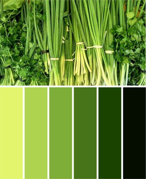 Lime Green Colour Palette, Bright Green Color Palette, Green Color Chart, Green Monochromatic, Pista Green Colour, Colored Walls, Green Branding, Green Color Combinations, Black Color Combination