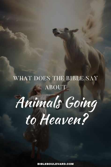 What Does the Bible Say About Animals Going to Heaven? Where Animals Live, Going To Heaven, Live In Peace, Praising God, Best Bible Verses, About Animals, Yes Or No, To Heaven, In Peace