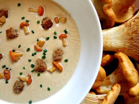 Sometimes chanterelles get damaged, instead of throwing away your expensive mushrooms, you can make this soup. Chanterelle Soup, Wild Mushroom Recipes, Mushroom Soup Recipes, Foraged Food, Metabolic Diet, Cream Soup, Orange Recipes, Wild Mushrooms, Indonesian Food