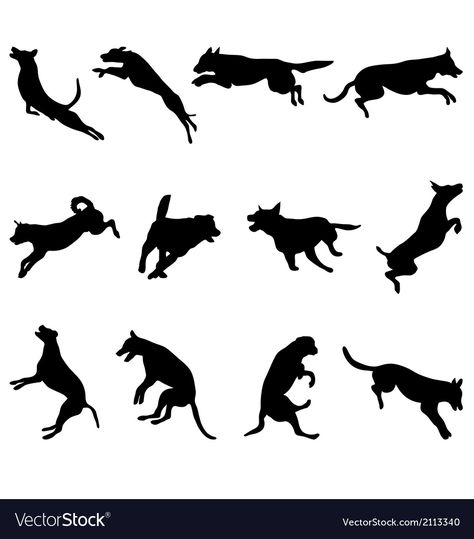 Dog Jumping Illustration, Dogs Jumping, Bike Silhouette, Jumping Dog, Dog Jumping, Pet Branding, Logo Dog, Rustic Logo, Flying Dog