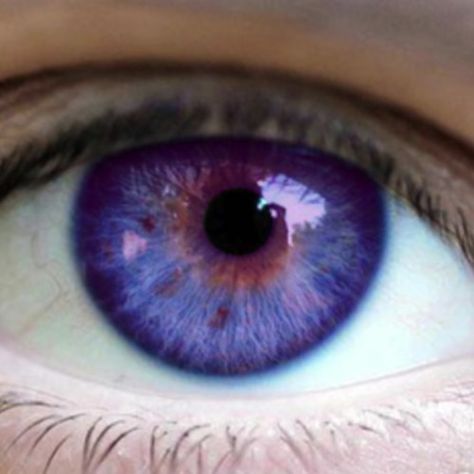 Purple Eyes Aesthetic Male, Purple Eye Aesthetic, Purple Eyes Aesthetic, Blue And Purple Eyes, Purple Eye Color, Purple Blue Eyes, Blue Purple Eyes, Lilac Eye, Blue Eyes Aesthetic