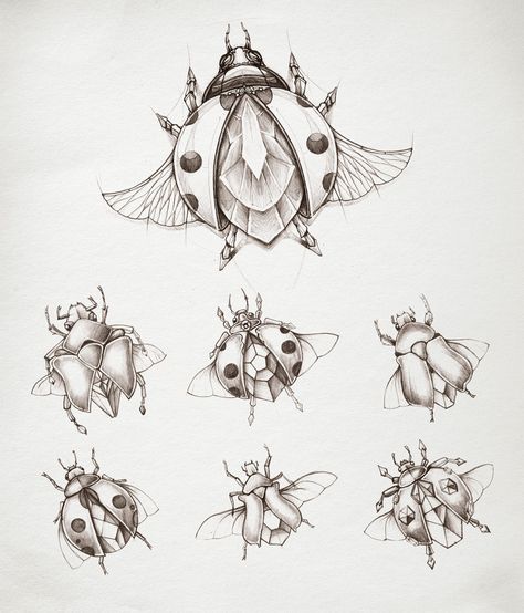 Ladybug Sketch Tattoo, Ladybug Sketch Insects, Ladybug Sketch, Ladybird Tattoo, Ladybug Drawing, Tattoo Homme, Bugs Drawing, Moth Tattoo Design, Lady Bug Tattoo