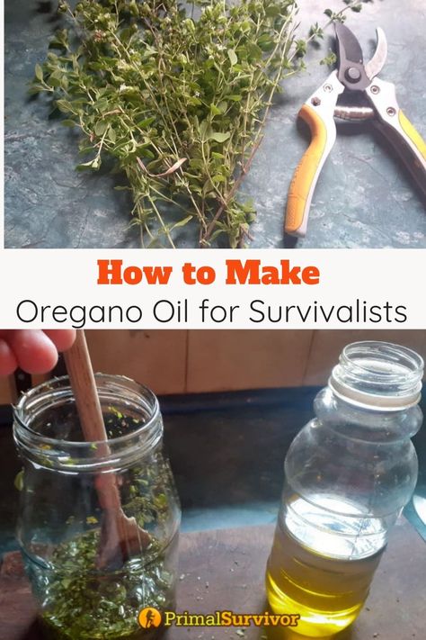 Make Oregano Oil, Oregano Plant, Tinctures Recipes, Herbal Medicine Recipes, Homemade Oil, Oregano Oil, Herbal Tinctures, Herbal Recipes, Natural Healing Remedies