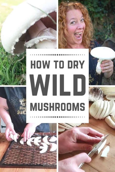 How to dry wild mushrooms; A foragers step by step guide to how to dry mushrooms when you've got a stash. #hedgecomber #dryingfood #wildmushrooms Drying Mushrooms, Foraging Tips, Dry Mushrooms, How To Store Mushrooms, Mushrooms Wild, Mushroom Farming, Desserts Cheesecake, Preserving Recipes, Indonesian Recipes