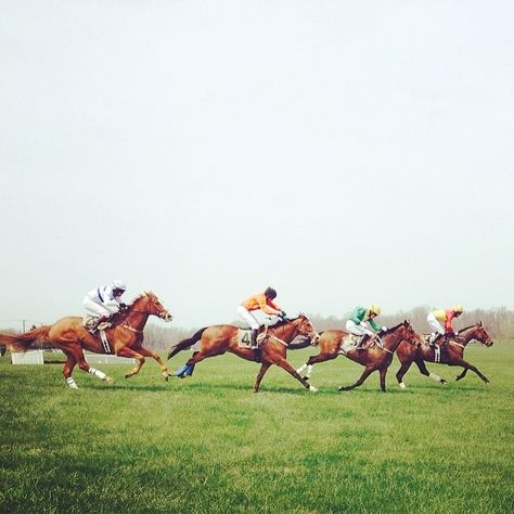 Horse Race, Thoroughbred Horse, Equestrian Life, Enjoy Today, Horse Photography, Thoroughbred, Kentucky Derby, Horse Racing, Horse Riding