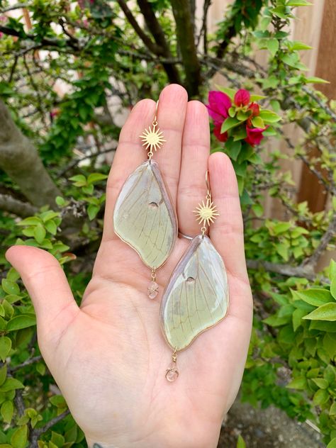 Real Luna Moth Wings + Rose Quartz Moth Accessories, Luna Moth Clothes, Moth Jewelry, Luna Moth Accessories, Luna Moth Jewelry, Moth Clay Earrings, Lunar Moth Necklace, Lunar Moth Earrings, Moth Wing Earrings