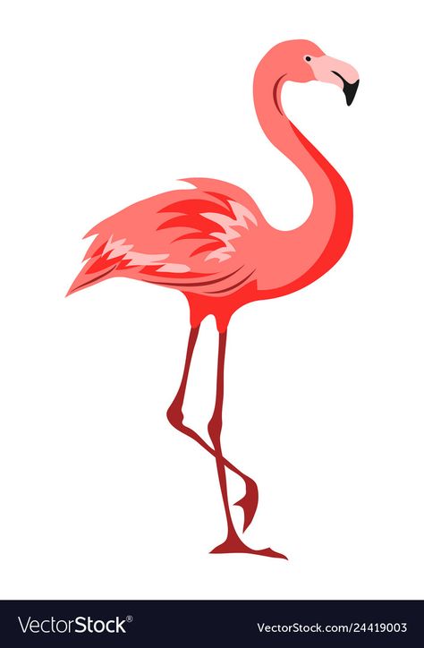 Pink flamingo tropical exotic Royalty Free Vector Image Flamingo Illustration Graphics, Posca Inspiration, Drawing Flamingo, Cereal Mascots, Mango Images, Sea Images, Cartoon Flamingo, Flamingo Vector, 2d Character Animation