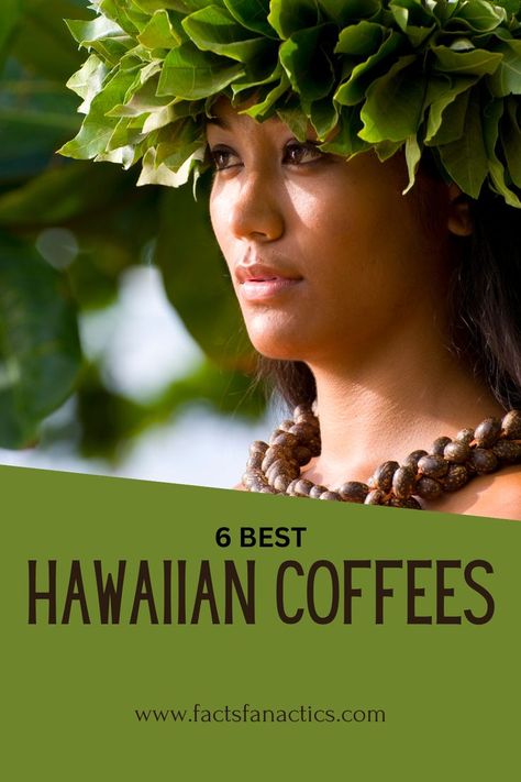 Are you ready to discover the best Hawaiian coffees you've never tasted before? Cuppings from across the state, I'm here to bring you top-tier beans you won't soon forget! Take a look at our top 6 picks! Hawaiian Coffee, Take A, Look At, Bring It On, Coffee