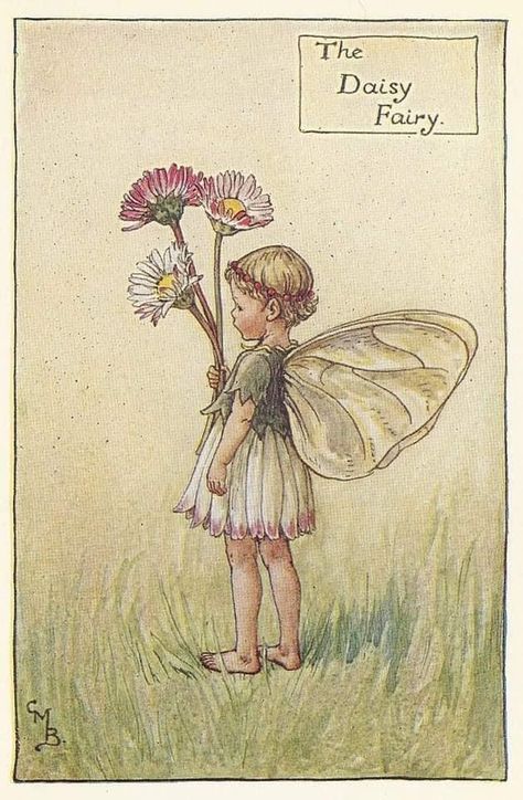 طابع بريدي, Cicely Mary Barker, Fairy Artwork, Fairy Tattoo, Baby Fairy, Vintage Fairies, Flower Fairies, Fairytale Art, Flower Fairy