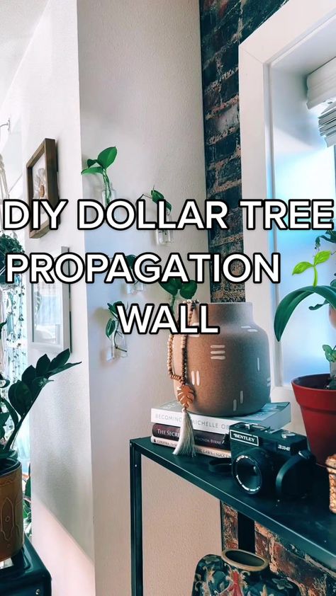 Felt crafty \ #diy #diyproject #planttiktok #planttok #propogation #propagationwall #dollartree #dollartreediy #dollartreediyproject #plants Wall Plant Propagation, Propogation Wall Ideas, Plant Wall Propagation, Diy Window Propagation Station, Dollar Tree Propagation Station, Plant Propagation Wall Decor, Propagating Station Diy, Renter Friendly Plant Wall, Ivy Plant Decor