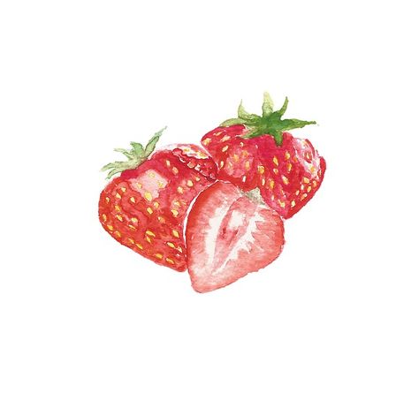 Strawberry #painting  #watercolor #watercolors #aquarelle #red #fruits #fruit  #fineartamerica Watercolour Strawberry, Alcohol Infused Fruit, Natural Juice Recipes, Fruit Drinks Alcohol, Rethink Your Drink, Painted Strawberries, Strawberry Stickers, Strawberry Painting, Strawberry Illustration