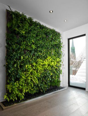 Indoor plant wall Green Wall Garden, Vertikal Garden, Taman Diy, Garden Wall Designs, Indoor Plant Wall, Tanaman Indoor, Vertical Garden Indoor, Garage Furniture, Jardim Diy