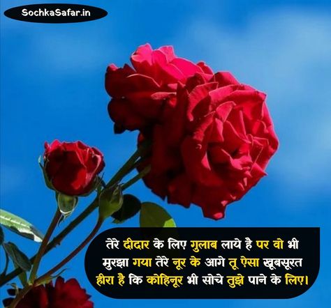 Rose Shayari In Hindi, Rose Shayari, Shayari For Him, Rose Day Shayari, Happy Rose Day, Sinchan Wallpaper, Image For, Rose Day, Shayari Photo