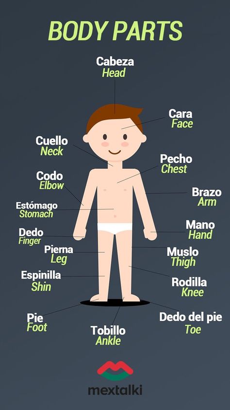 Spanish For Healthcare, Mexican Spanish Language, Spanish Filler Words, Learning Mexican Spanish, Learn Mexican Spanish, Spanish Vocabulary List, Body Parts In Spanish, Medical Spanish, Spanish Aesthetic