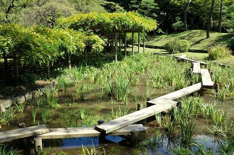 Plank Bridge, Bird Watching Tower, Board Walk, Wetland Park, Green Architecture, Landscape Architects, Rain Garden, Cultural Center, Landscape Architect