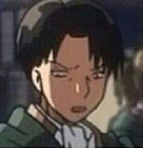 You ok there Levi? Levi Funny, Aot Funny, Tamako Love Story, Aot Memes, Anime Mems, Deez Nuts, Attack On Titan Funny, Titans Anime, Anime Expressions