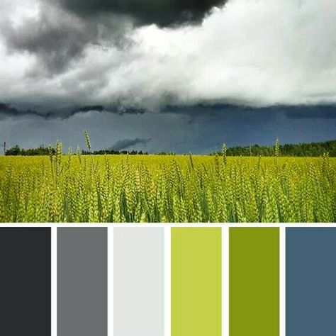 Green & Grey! Color Palette For Home, Color Palate, Color Stories, Grey Green, Design Case, Bedroom Colors, Colour Schemes, Color Pallets, Color Swatches