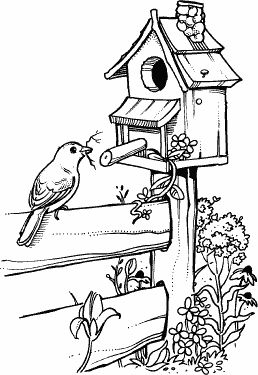 Birdhouse Fence, Stamps Art, Pyrography Patterns, Art Stamps, Wood Burning Patterns, Wood Burning Art, Pencil Art Drawings, Drawing Images, Bird Drawings