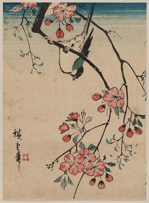 Bird on Cherry Branch Hiroshige Cherry Branch, Japanese Block Print, Japanese Bird, Japan Painting, Utagawa Hiroshige, Cherry Blossom Art, Asian Tattoos, Japanese Artwork, Traditional Japanese Art