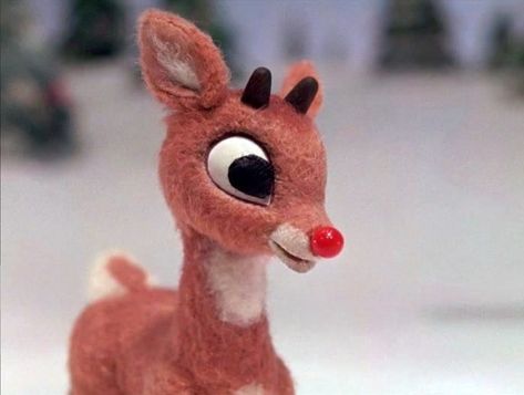 Neurodivergent Headcanon, Rudolph The Red Nosed Reindeer Aesthetic, Christmas Cartoon Pictures, Rudolph Red Nosed Reindeer, Christmas Specials, Playlist Covers Photos, Boss Wallpaper, Discord Pfp, Childrens Christmas