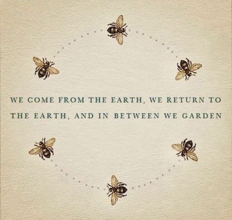 Citation Nature, Bumble Bees, Garden Quotes, Cycle Of Life, Bee Art, Save The Bees, Bee Happy, Nature Quotes, Queen Bees