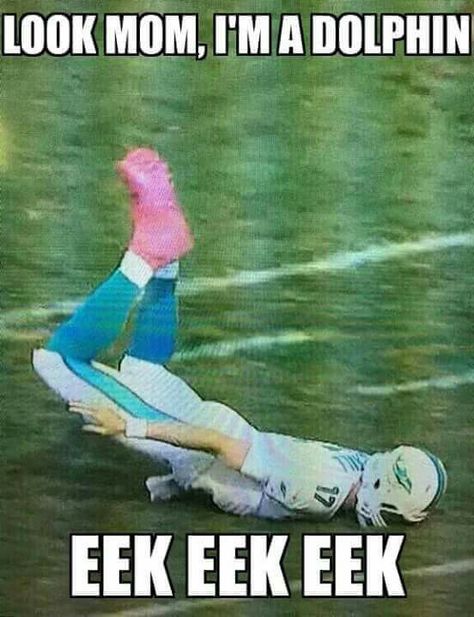 Love it! Funny Nfl Pictures, Nfl Meme, Nfl Jokes, Sports Joke, Funny Nfl, Messi Gif, Nfl Funny, Nfl Pictures, Football Jokes