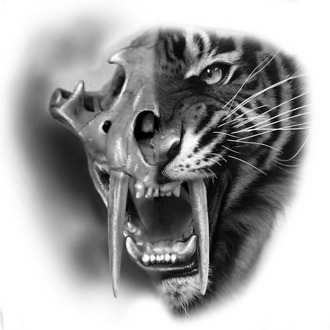 Arm Tattoos Drawing, Tiger World, Tiger Skull, Biker Tattoos, Tiger Tattoo Design, Scratch Art, Desenho Tattoo, Tiger Tattoo, Girls Girl