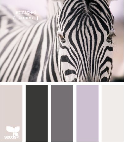 Black and White Color Palette with a lilac purple pop! This color scheme has endless options, like a palette contemporary or high design living room, or a sweet look or teen or little girl bedroom! Design Seeds, Colour Board, Black And White Colour, Colour Schemes, Color Pallets, Color Swatches, My New Room, Room Colors, Zebras