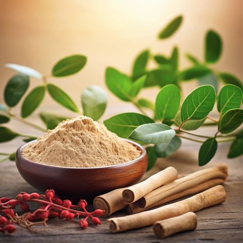 ashwagandha Ashwagandha Powder, Ashwagandha Benefits, Withania Somnifera, Herb Life, Holistic Diet, Natural Headache Remedies, Turmeric Benefits, Holistic Medicine, Brain Fog