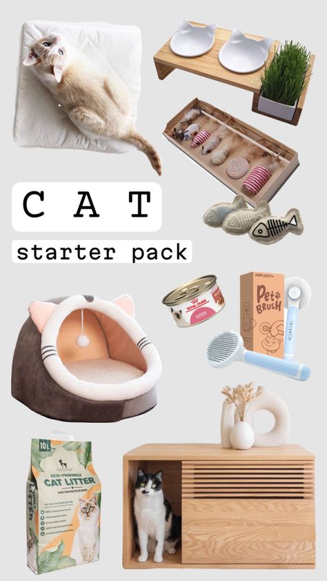 Cat parent starter pack #cat #catlover #cats #pets #petparent #parent #cattoys #toys #litter #bed #catcare #food #litterbox #starterpack #bowls #bowl #brush #tools Human Food For Cats, Cat Parenting, Cat Aesthetic, Cat Supplies, Cat Bowls, Starter Pack, Cat Care, Cat Litter, Litter Box