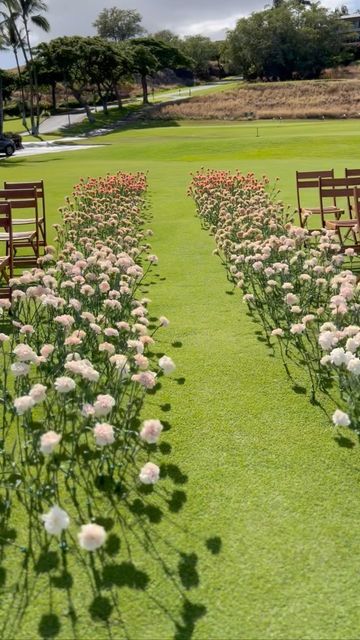 Hawaii Wedding Florist on Instagram: "OMBRÉ BLOOMING FLOWER AISLE / on the island of Lanai last week we created a blooming floral ceremony aisle for our beautiful couple Michelle and Jason. Imagine waltzing down this magical ceremony aisle on a private island in Hawaii to say I do! Designed with love, passion & style by our floral team at Designs by Hemingway. #dbhemingway Floral design/ styling / creative direction @dbhemingway Venue @fslanai Photographer @ccphotographying . . . . . #lanai Flower Aisle, Floral Ceremony, Ceremony Aisle, Golf Course Wedding, Flower Inspiration, Ceremony Flowers, Aisle Decor, Ceremony Backdrop, Private Island