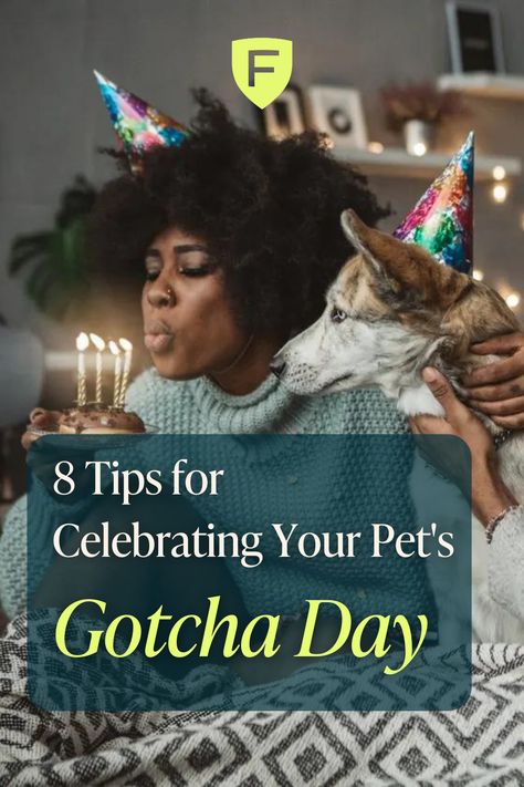 3 in 4 dog owners admit to celebrating their dog's birthday or gotcha day annually. If you are throwing a birthday party for your pup but don't know where to start, this article is for you. Dog Gotcha Day, Gotcha Day Dog, Dog Friendly Cake, Dog's Birthday, Essential Oils Dogs, Dogs Birthday, Custom Birthday Banners, Dog Swimming, Fun Brain