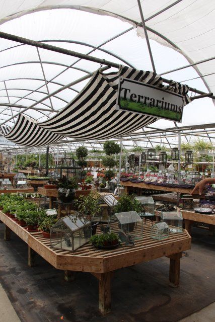 Boost Miniature Gardening Sales -Consumer-Focused Store-Within-A-Store [Slideshow] | Today's Garden Center: Shop Display Ideas, Striped Awning, Garden Center Displays, Awning Shade, Garden Whimsy, Florist Shop, Garden Nursery, Garden Store, Tree Shop