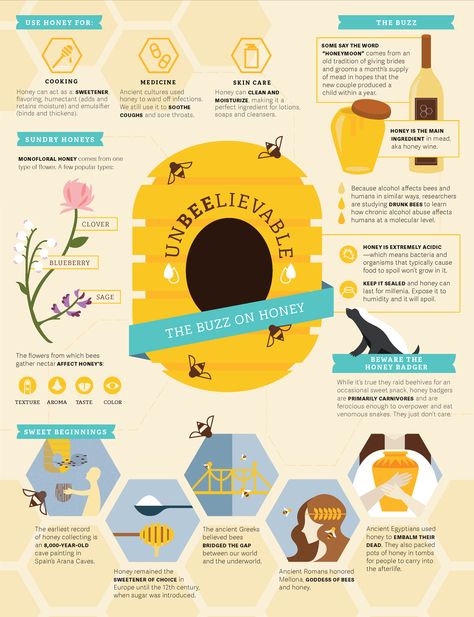 Honey Bee Infographic, Bee Infographic Design, Science Infographic Design, Bees Infographic, Honey Infographic, Creative Infographic Design Layout, Bee Infographic, Aesthetic Infographic Design, Simple Infographic Design