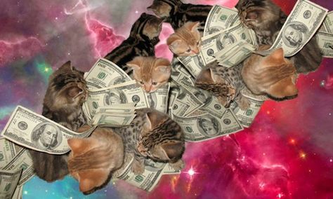 Image via Facebook The Bloodhound Gang, Millionaire Inspiration, Affirmations Success, Mo Money, Cat City, Funny Animal Photos, Cash Money, Funny Bunnies, Business Money