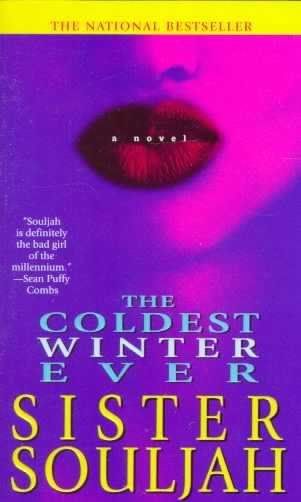 Coldest Winter Ever, Sister Souljah, The Coldest Winter Ever, Urban Fiction Books, Urban Books, African American Books, Black Literature, Urban Fiction, Great Books To Read