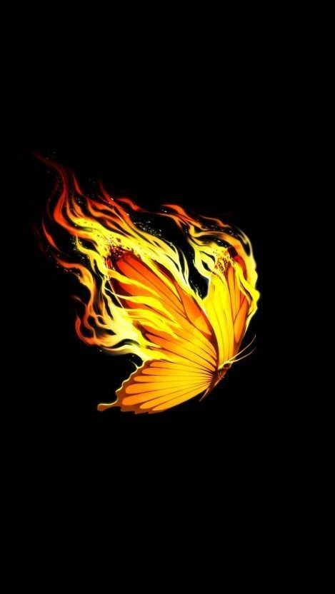 Burning Butterfly Tattoo, Burning Butterfly, Phoenix Butterfly, Butterfly Iphone Wallpaper, Fire Butterfly, Tattoo Papillon, Artistic Wallpapers, Fire Wallpaper, Full Hd Wallpaper Download