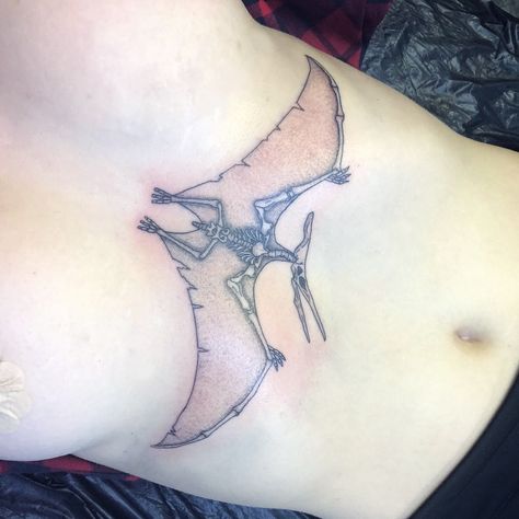 Pterodactyl Tattoo, Bones Tattoo, Bone Tattoos, Henna Tattoo, Tattoos And Piercings, Henna, Piercings, Bones, Tattoos