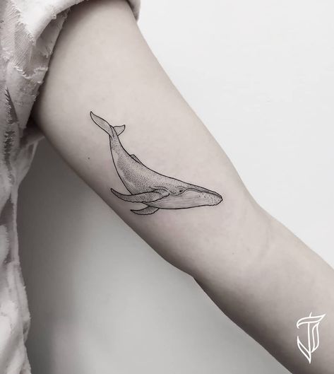 Narwal Tattoo, Whale Tail Tattoo, Humpback Whale Tattoo, Whale Tattoo, Whale Tattoos, Anklet Tattoos, Ocean Tattoos, Парные Тату, Original Tattoos