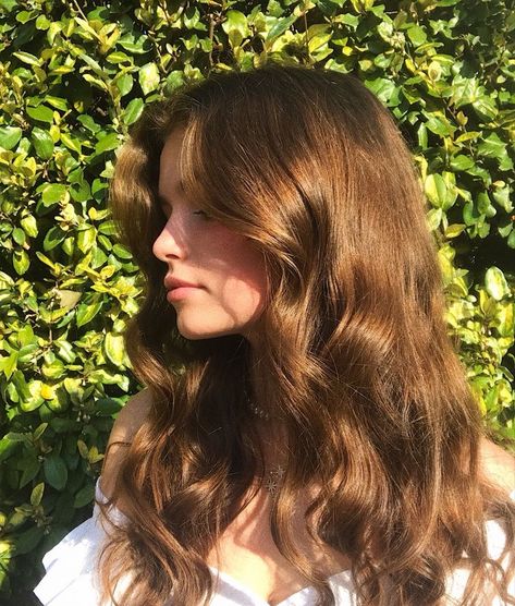 Warm Brown Hair, Brown Wavy Hair, Haircuts For Wavy Hair, Long Brown Hair, Hair Inspo Color, Dream Hair, Instagrammer, Light Brown Hair, Aesthetic Hair