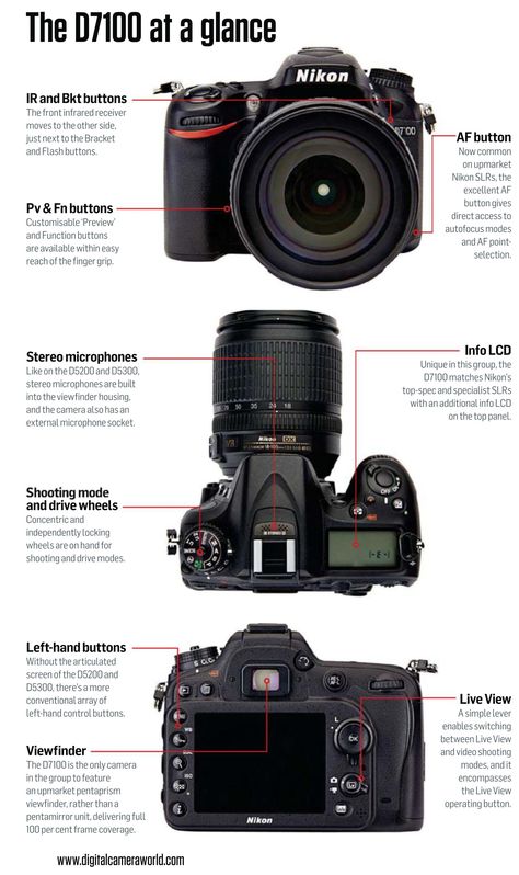 Nikon D7100 Tips. N-Photo 1-2015 Nikon D7100 Cheat Sheet Camera Settings, Photography Studio Equipment, Nikon Camera Tips, Nikon Cameras, Digital Photography Lessons, Nikon Digital Camera, Photography Settings, Product Manual, Photography Cheat Sheets