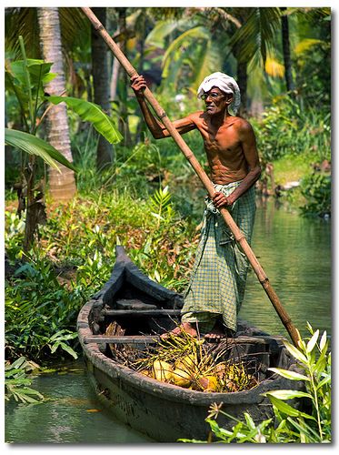 Kerala Backwaters                                                                                                                                                                                 More India Nature, Kerala India Photography, Kerala Boat Painting, Old Kerala Photos, Nature Photography Kerala, Kerala Nature Images, Kerala Backwaters, Kerala India, India Photography