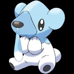 Cute but also sick Bear Pokemon, Rayquaza Pokemon, Ice Pokemon, Pokemon Tv, Pokemon Adventures Manga, Pokemon Black, Pokemon Blue, Pokémon Black And White, Black Pokemon