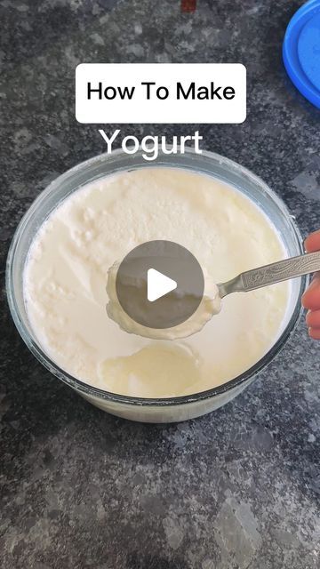 Plain Yogurt Recipes, Tauba Tauba, Instant Pot Yogurt, Karan Aujla, Asha Bhosle, Cheese Making, Homemade Yogurt, Yogurt Recipes, Fool Proof Recipes