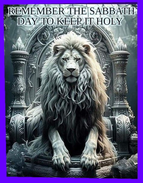 Jewish Sayings, Torah Quotes, Jewish Shabbat, Happy Sabbath Quotes, Jewish Artwork, Biblical Images, Judah And The Lion, Bible Genealogy, Happy Sabbath Images