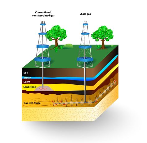 Weird Science Facts, Earth Core, Articles For Kids, Shale Gas, Fun Facts For Kids, Biology Facts, Facts For Kids, Physical Science, Organic Matter