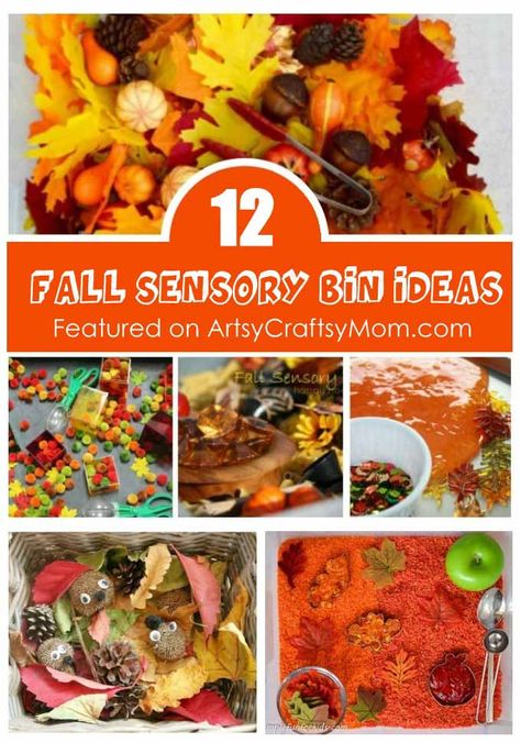 Fall is full of beautiful colors and smells all around! Make the most of this season with some fun fall sensory bin ideas for kids to touch, see and play! via @artsycraftsymom Fall Activities For Kids, Sensory Bin Ideas, Fall Sensory Bin, Fall Sensory, Sensory Tubs, Toddler Sensory, Autumn Activities For Kids, Sensory Boxes, Fall Preschool