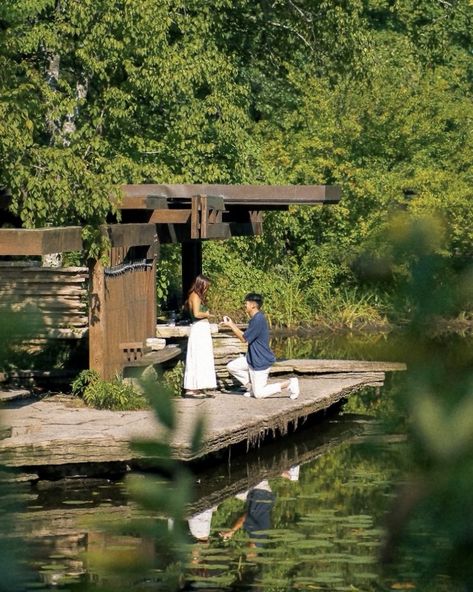 Nature proposal, discreet silhoutte proposal idea. Alfred Caldwell Lily Pond Chicago Proposal location ideas. Summer proposal photo inspo Lake Dock Proposal, Low Key Proposal, Golden Hour Proposal, Lowkey Proposal, Dream Proposal Ideas, Intimate Proposal Ideas Simple, Proposal Ideas Nature, Zoo Proposal, Outdoor Proposal Ideas Simple