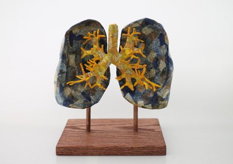 LungsPapier maché and wood8 x 7 x 9 inches2017 Adventure Signs, Paper Mache Sculpture, Old Maps, Medical History, Lungs, Wood Boxes, Paper Mache, Glass Jars, Sculpture Art